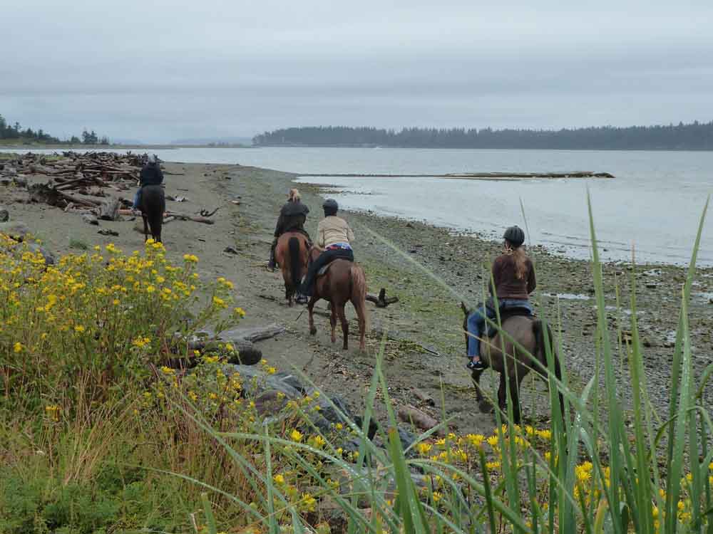 Trail Ride